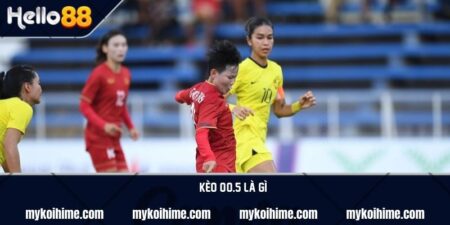 Kèo 0/0.5 là gì? Chia sẻ cách đọc kèo và kinh nghiệm bắt kèo 19 Kèo 0/0.5 là gì? Chia sẻ cách đọc kèo và kinh nghiệm bắt kèo