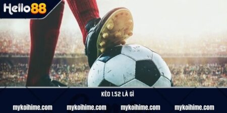 Kèo 1.5/2 là gì? Bỏ túi mẹo bắt kèo 1.5/2 luôn thắng 15 Kèo 1.5/2 là gì? Bỏ túi mẹo bắt kèo 1.5/2 luôn thắng