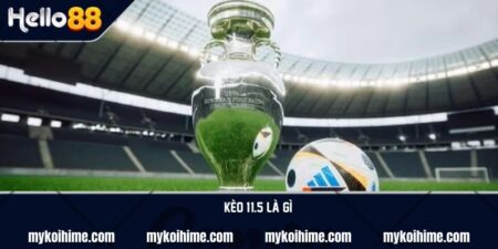 Kèo 1/1.5 là gì? Kinh nghiệm bắt kèo chuẩn xác từ chuyên gia 17 Kèo 1/1.5 là gì? Kinh nghiệm bắt kèo chuẩn xác từ chuyên gia