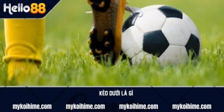 Kèo dưới là gì? Các loại kèo chấp phổ biến trong kèo dưới 11 Kèo dưới là gì? Các loại kèo chấp phổ biến trong kèo dưới