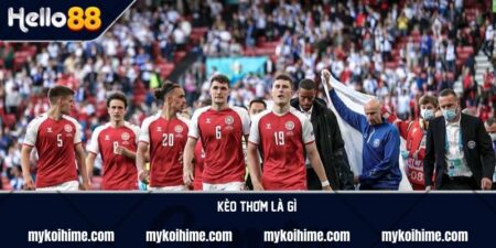 Kèo thơm là gì? Cách chọn kèo thơm chính xác, hiệu quả 5 Kèo thơm là gì? Cách chọn kèo thơm chính xác, hiệu quả