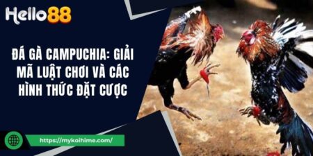 Đá gà Campuchia: Giải mã luật chơi và các hình thức đặt cược 