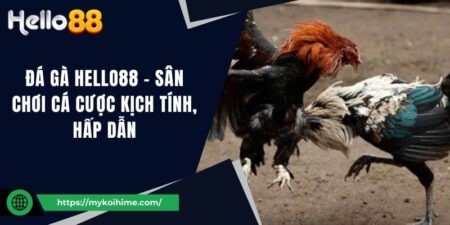 Đá gà Hello88 - Sân chơi cá cược kịch tính, hấp dẫn 