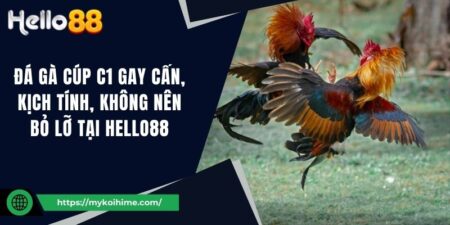 Đá gà cúp C1 gay cấn, kịch tính, không nên bỏ lỡ tại Hello88 11 Đá gà cúp C1 gay cấn, kịch tính, không nên bỏ lỡ tại Hello88