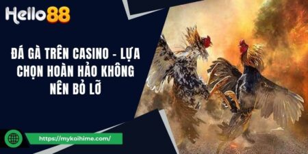 Đá gà trên casino - Lựa chọn hoàn hảo không nên bỏ lỡ 17 Đá gà trên casino - Lựa chọn hoàn hảo không nên bỏ lỡ
