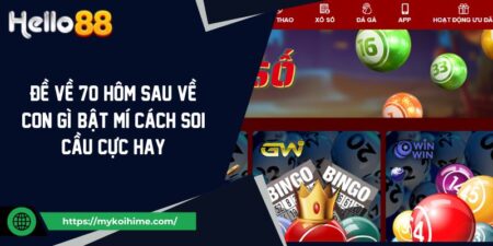 Đề Về 70 Hôm Sau Về Con Gì? Bật Mí Cách Soi Cầu Cực Hay