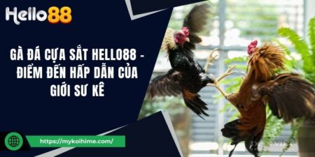 Gà đá cựa sắt Hello88 - Điểm đến hấp dẫn của giới sư kê 19 Gà đá cựa sắt Hello88 - Điểm đến hấp dẫn của giới sư kê