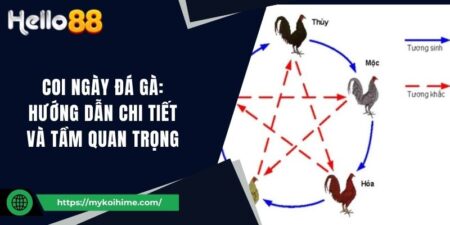 Coi Ngày Đá Gà: Hướng Dẫn Chi Tiết và Tầm Quan Trọng 7 Coi Ngày Đá Gà: Hướng Dẫn Chi Tiết và Tầm Quan Trọng