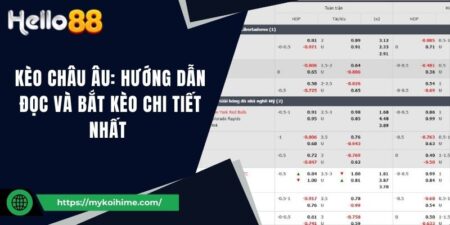 Kèo châu Âu: Hướng dẫn đọc và bắt kèo chi tiết nhất  1 Kèo châu Âu: Hướng dẫn đọc và bắt kèo chi tiết nhất