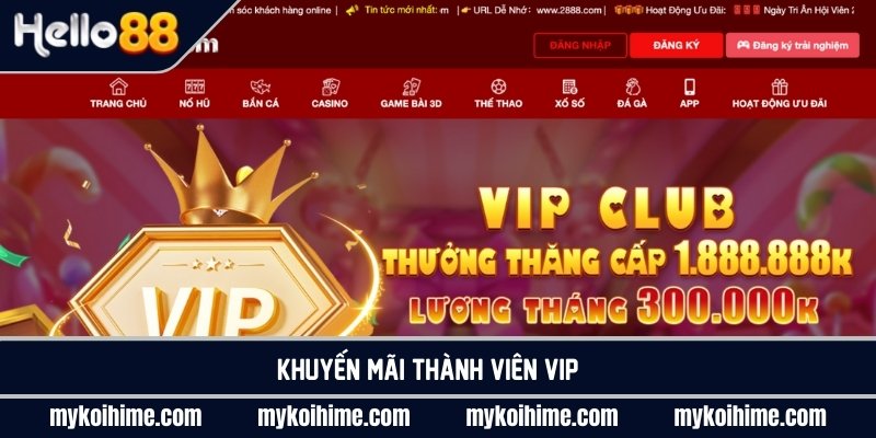 Khuyến mãi thành viên VIP