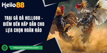 Trại gà đá Hello88 - Điểm đến hấp dẫn cho lựa chọn hoàn hảo 13 Trại gà đá Hello88 - Điểm đến hấp dẫn cho lựa chọn hoàn hảo